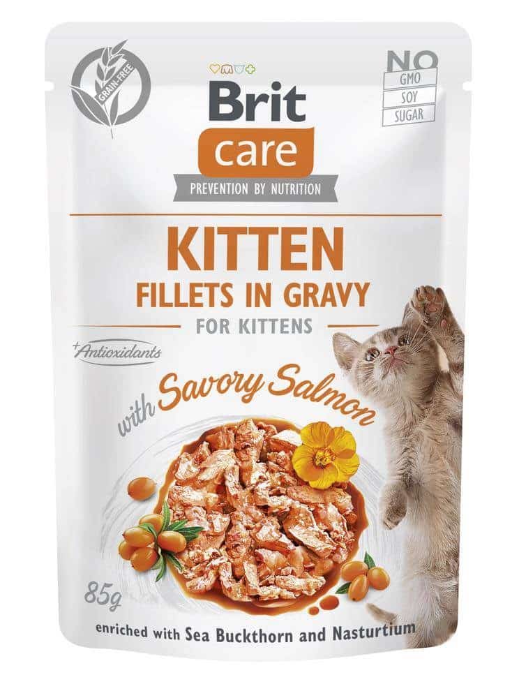 BRIT Care Cat Kitten Savory Salmon Pouch - mokra karma dla kota - 85 g