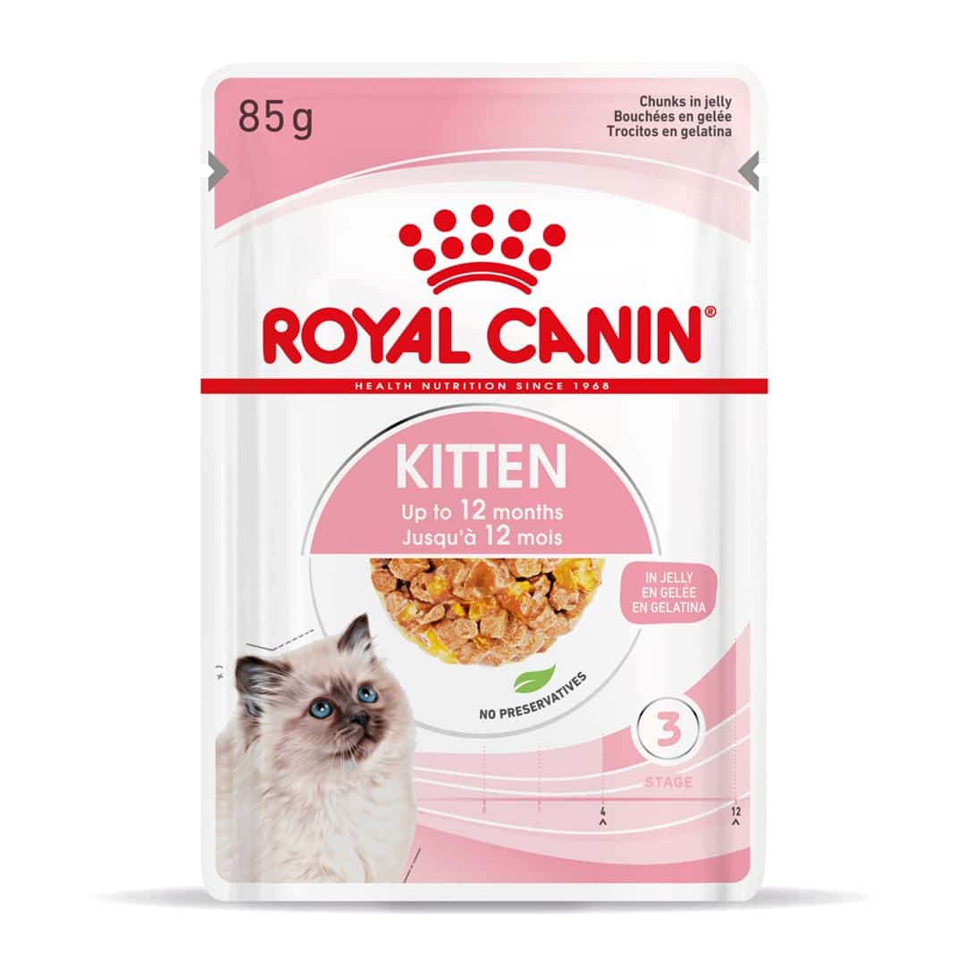Royal Canin FHN Kitten Instinctive w galaretce - mokra karma dla kociąt - 12x85g