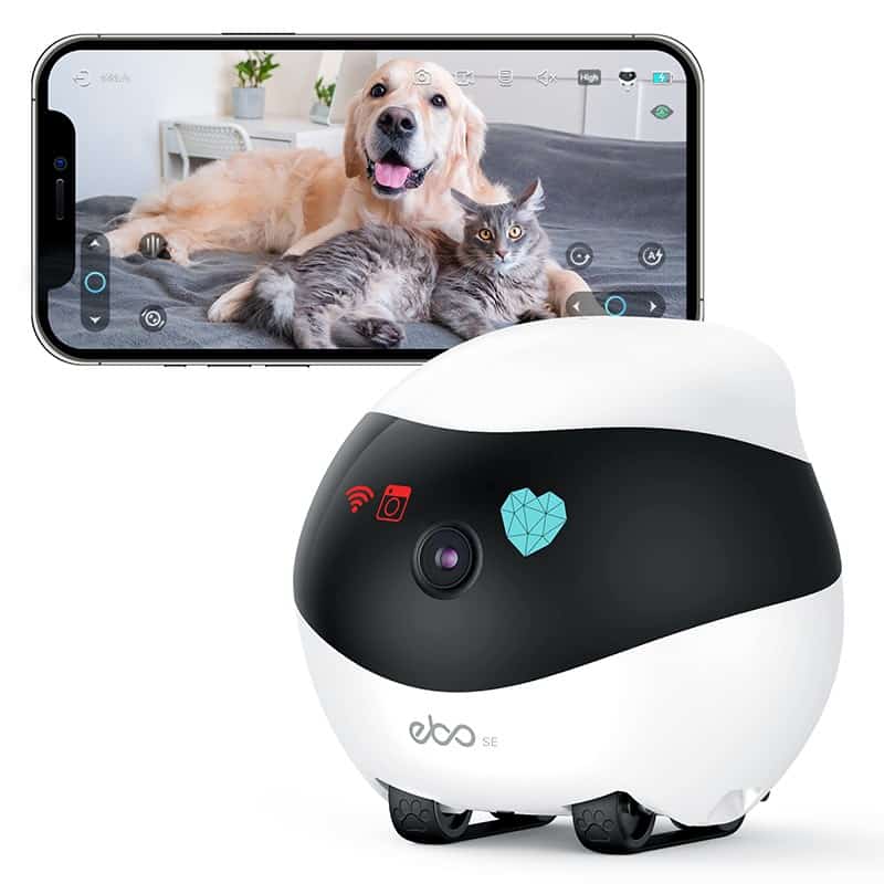Robot ENABOT Ebo SE Biało-czarny