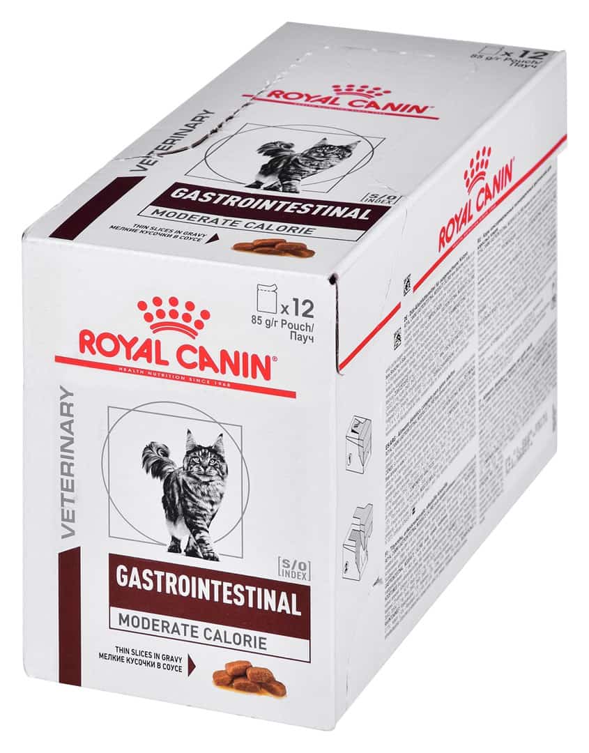 ROYAL CANIN Intestinal Gastro Moderate Calorie Cat - mokra karma dla kota - 12x85g