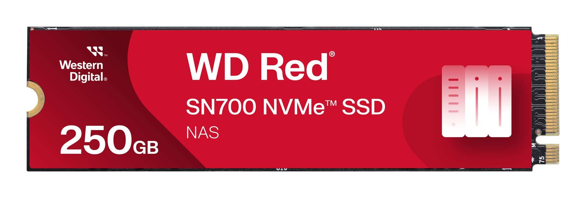 Dysk SSD WD Red SN700 250 GB M.2 NVMe