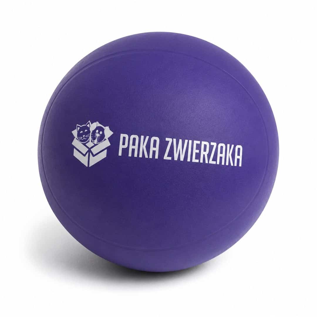 Paka Zwierzaka piłka plażowa