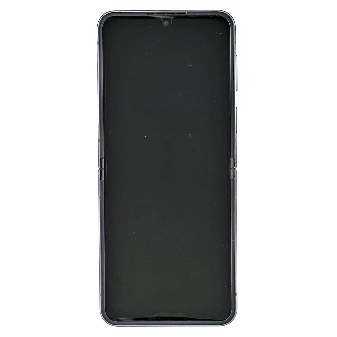 Samsung Galaxy Z Flip 6 (F741B) DS 5G 12/256GB Mint (OUTLET)