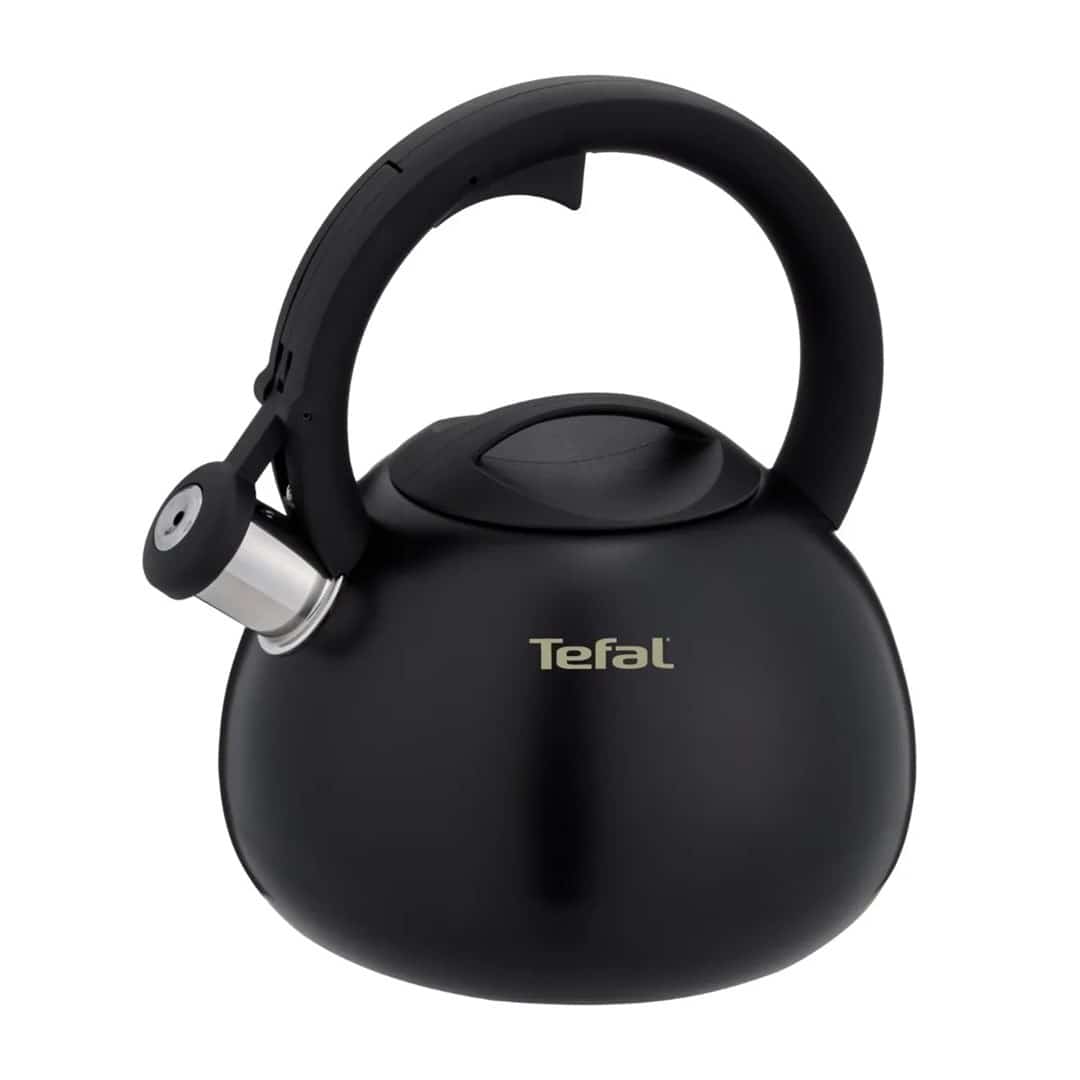 Czajnik nieelektryczny TEFAL N4180410