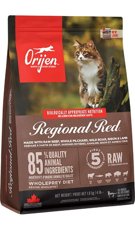 ORIJEN Cat Regional Red - sucha karma dla kota - 1,8kg — zdjęcie 1 z 2