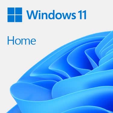 MS Windows 11 Home 64bit Polish DVD
