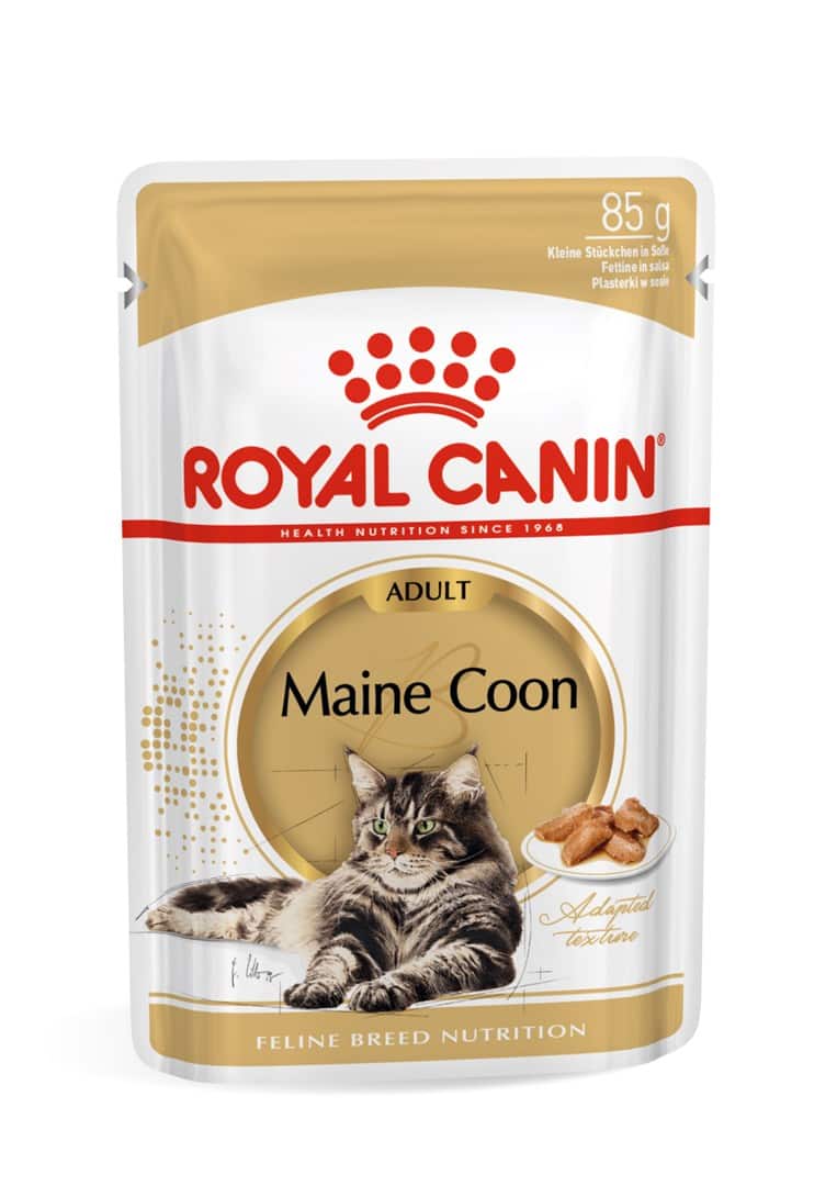 ROYAL CANIN FBN Maine Coon - Mokra Karma 12x85g — zdjęcie 1 z 8