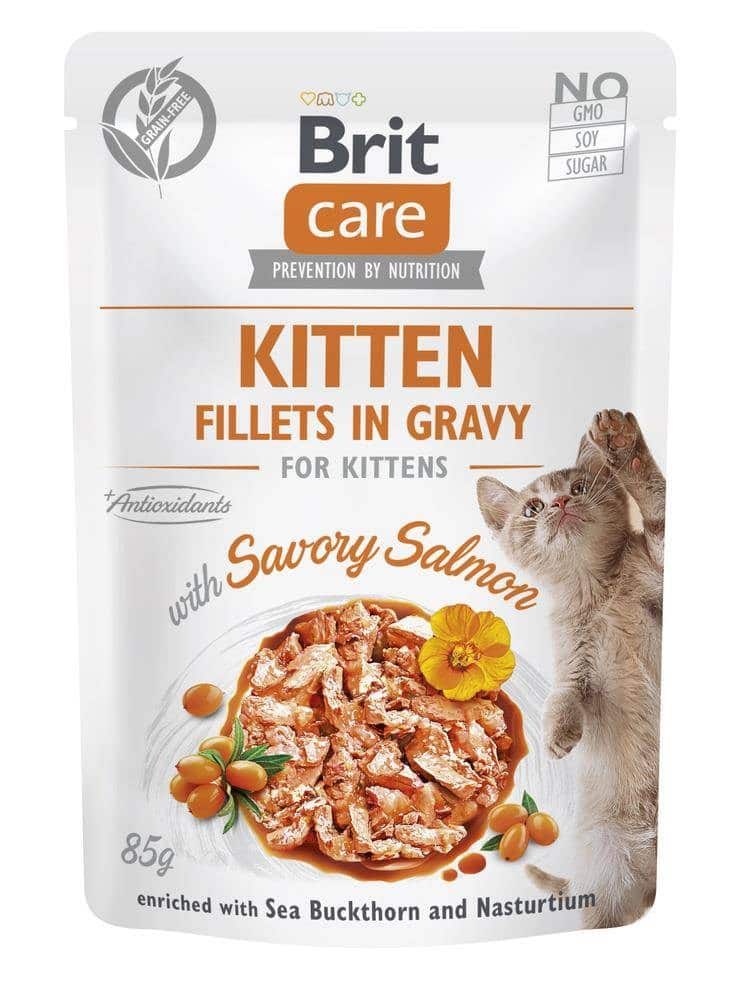 BRIT Care Cat Kitten Savory Salmon Pouch 85g