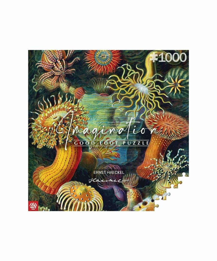 Puzzle Good Loot 1000 Imagination Ernst Haeckel Stworzenia Morskie — zdjęcie 1 z 2