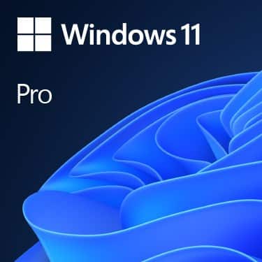 MS Windows 11 Professional 64bit English DVD