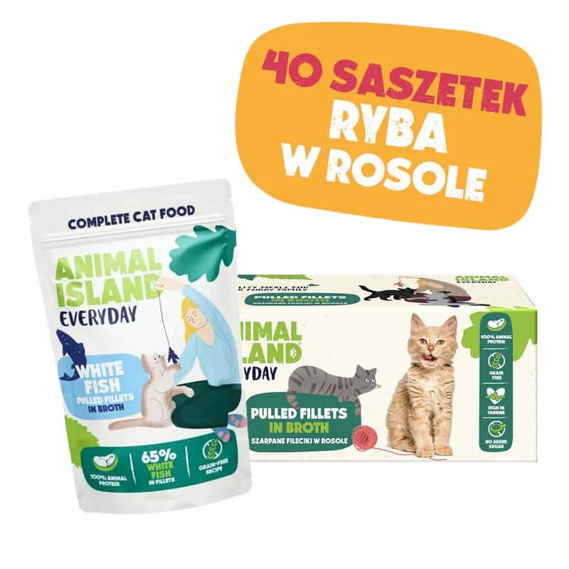 ANIMAL ISLAND biała ryba w rosole karma dla kota monopak 40x85g — zdjęcie 1 z 4