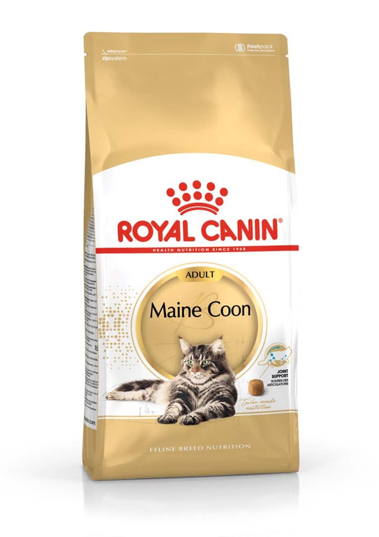 ROYAL CANIN FBN Maine Coon Adult - sucha karma dla dorosłego kota - 10kg — zdjęcie 1 z 8