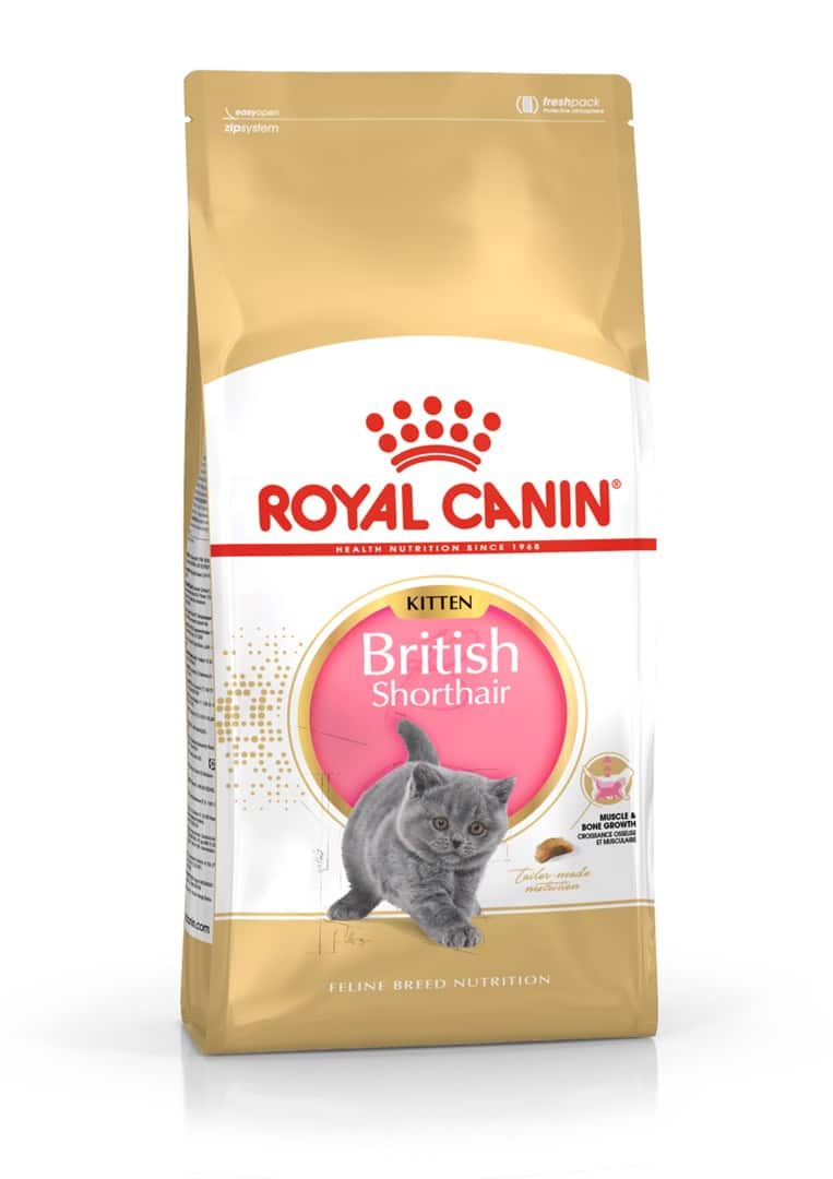 Royal Canin FBN British Shorthair Kitten - sucha karma dla kociąt - 2 kg — zdjęcie 1 z 8
