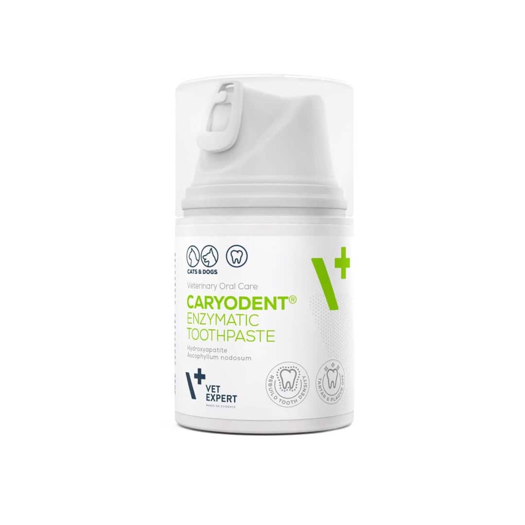 VetExpert Caryodent Enzymatic Toothpaste 50ml — zdjęcie 1 z 2