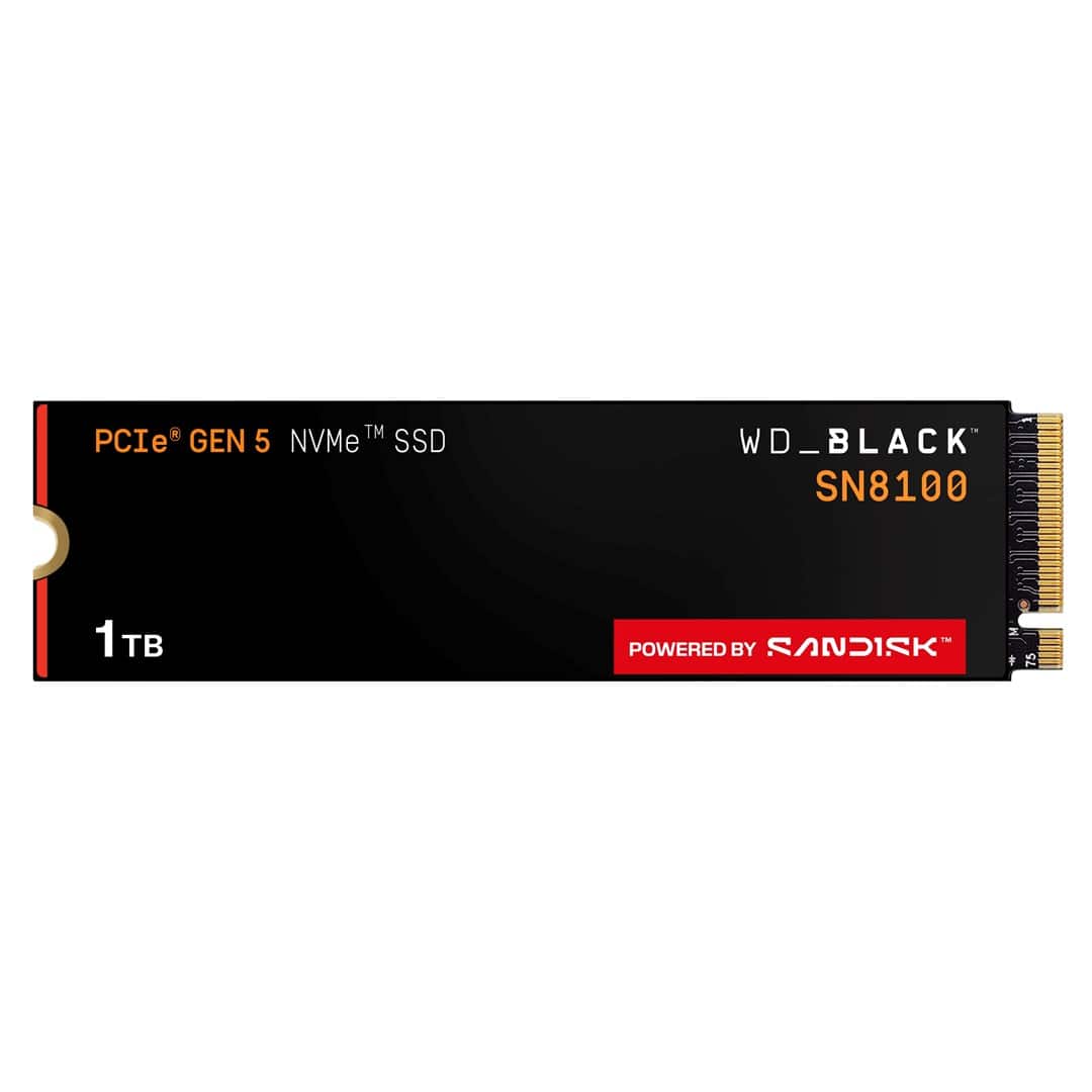 SSD WD Black SN8100 w/o HS 1TB  WDS100T1X0M — zdjęcie 1 z 4