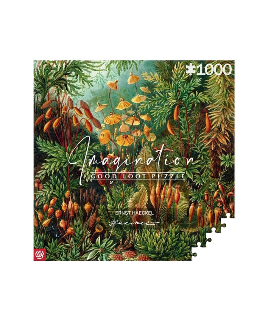 Puzzle Good Loot: Ernst Haeckel - Muscinae, 1000 elementów — zdjęcie 1 z 2