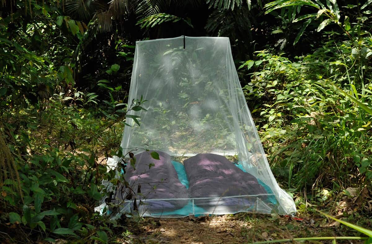 Moskitiera Cocoon Outdoor Net Double, silt green
