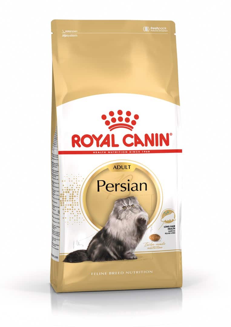 Royal Canin FBN Persian Adult - sucha karma dla kota dorosłego - 4kg — zdjęcie 1 z 8