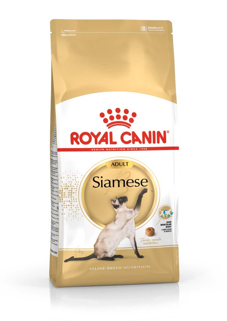 ROYAL CANIN FBN Siamese Adult - sucha karma dla dorosłego kota - 2kg — zdjęcie 1 z 8