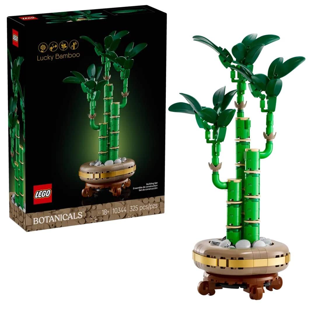 LEGO Botanical Collection 10344 - Dracena sandera — zdjęcie 1 z 8