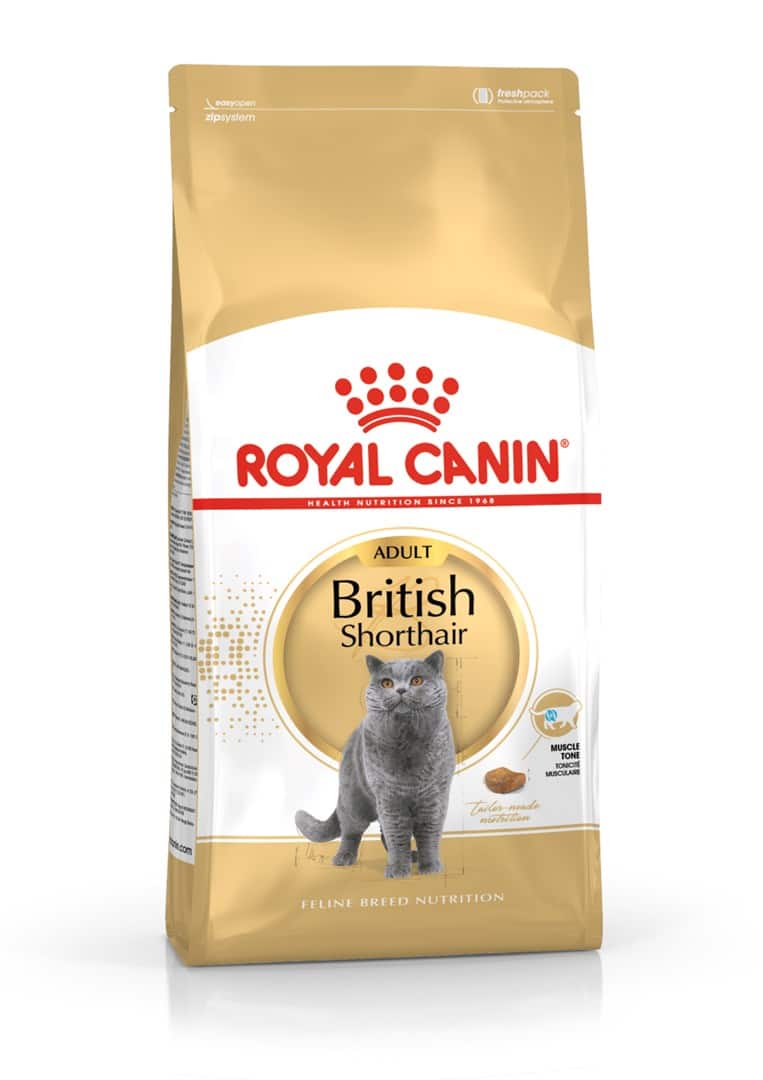ROYAL CANIN FBN British Shorthair Adult - sucha karma dla dorosłego kota - 4kg — zdjęcie 1 z 8