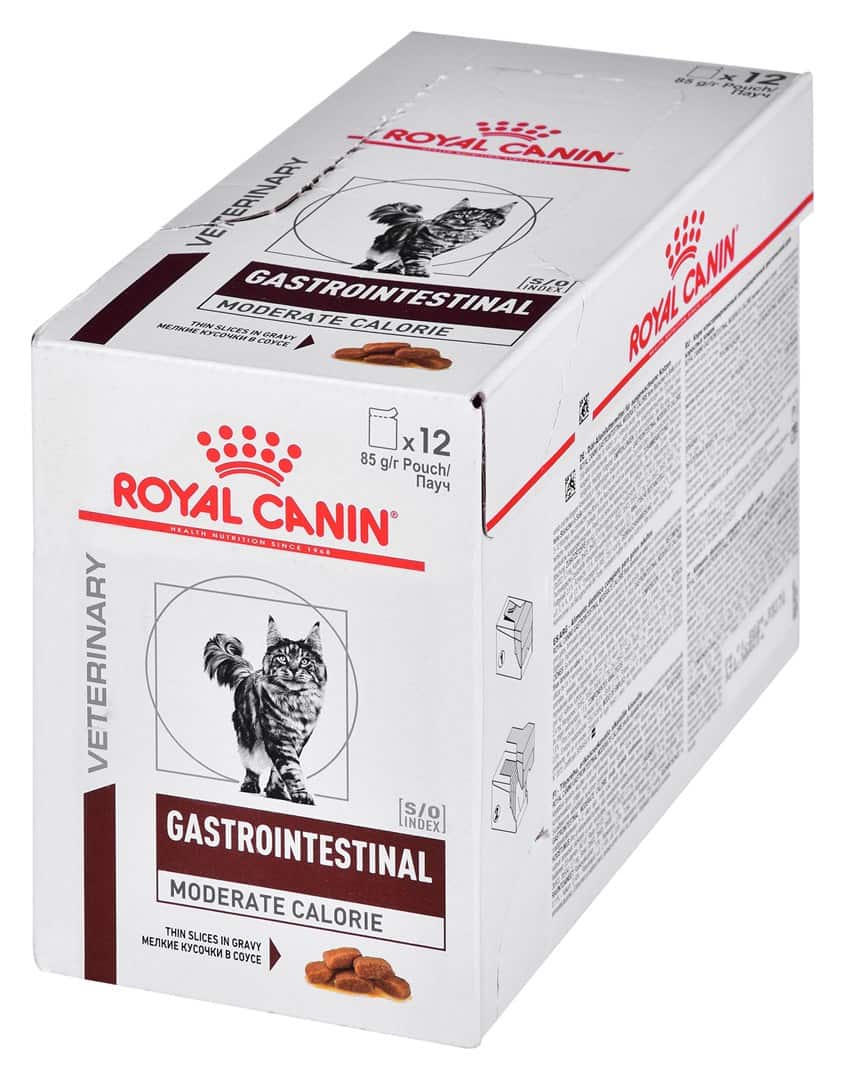ROYAL CANIN Intestinal Gastro Moderate Calorie Cat - mokra karma dla kota - 12x85g — zdjęcie 1 z 3