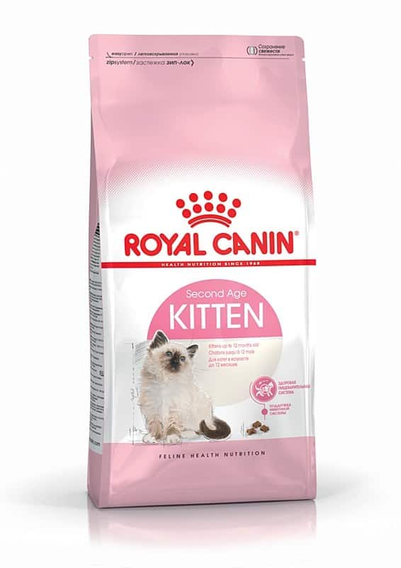 ROYAL CANIN FHN Kitten - Sucha Karma 4kg — zdjęcie 1 z 8