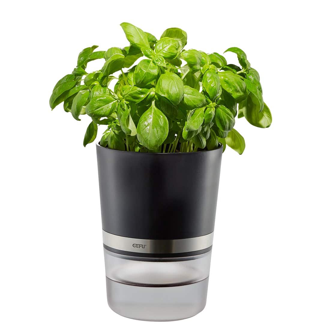Doniczka na zioła GEFU BOTANICO G-18920 — zdjęcie 1 z 5