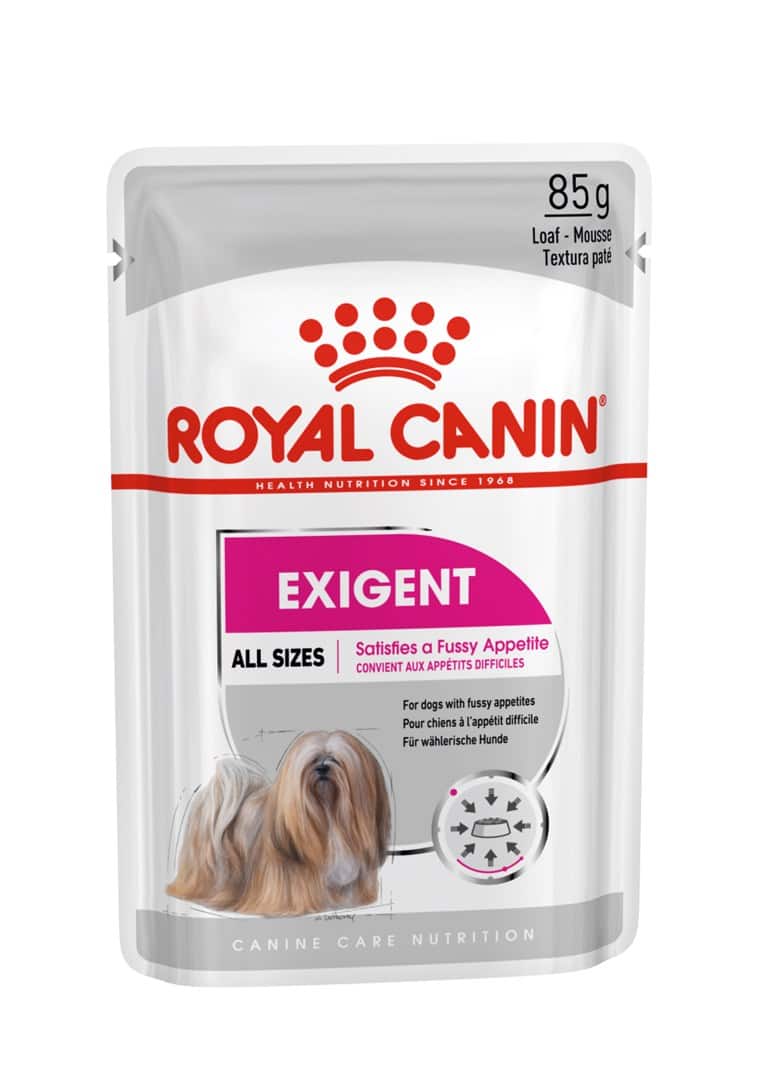 ROYAL CANIN CCN EXIGENT LOAF - mokra karma dla psa dorosłego - 12x85g — zdjęcie 1 z 8