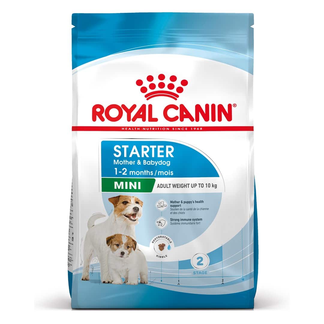 ROYAL CANIN Starter Mini Mother & Babydog - sucha karma dla szczeniąt i suk w ciąży oraz okresie laktacji - 1 kg — zdjęcie 1 z 8