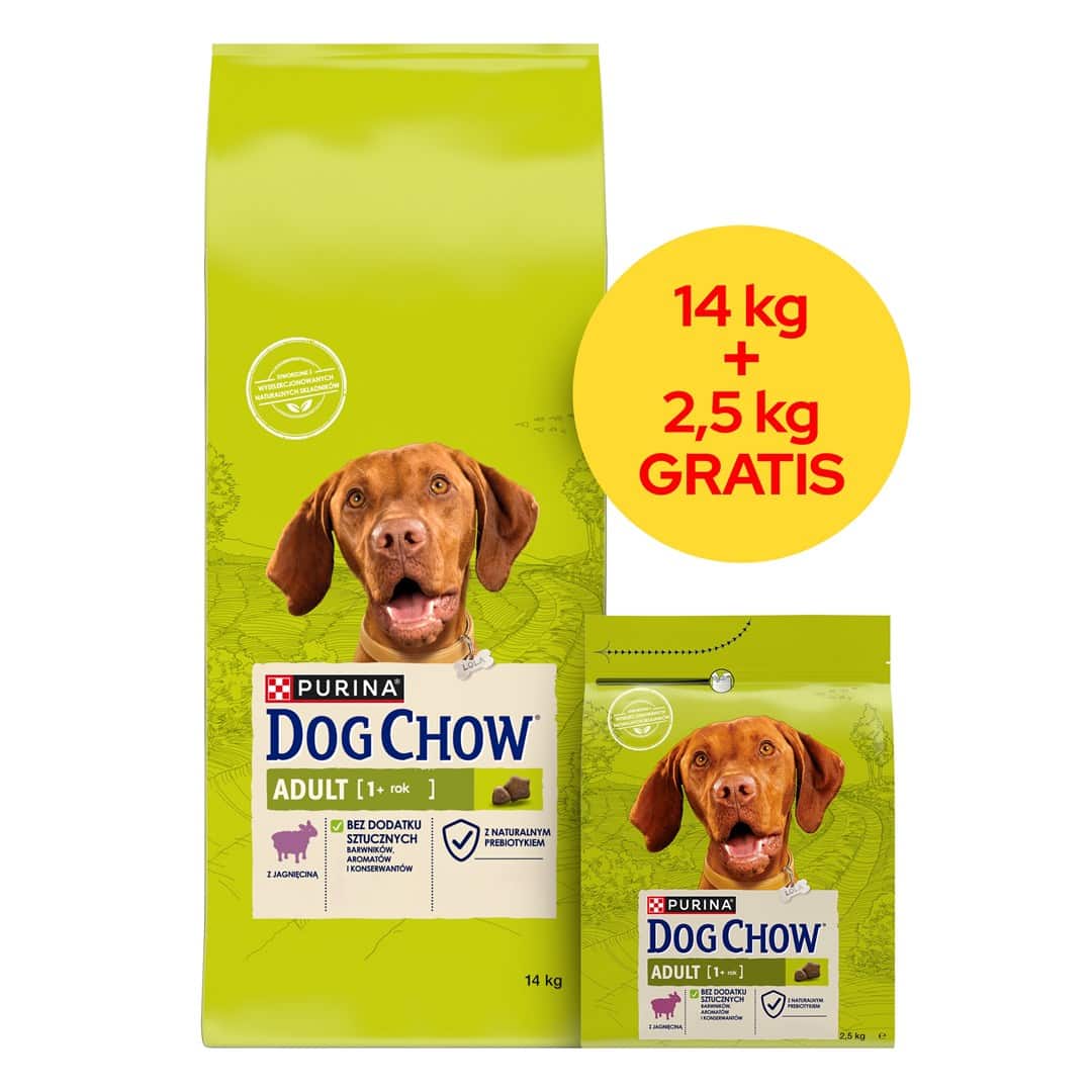 PURINA DOG CHOW ADULT Jagnięcina 14+2,5kg — zdjęcie 1 z 5