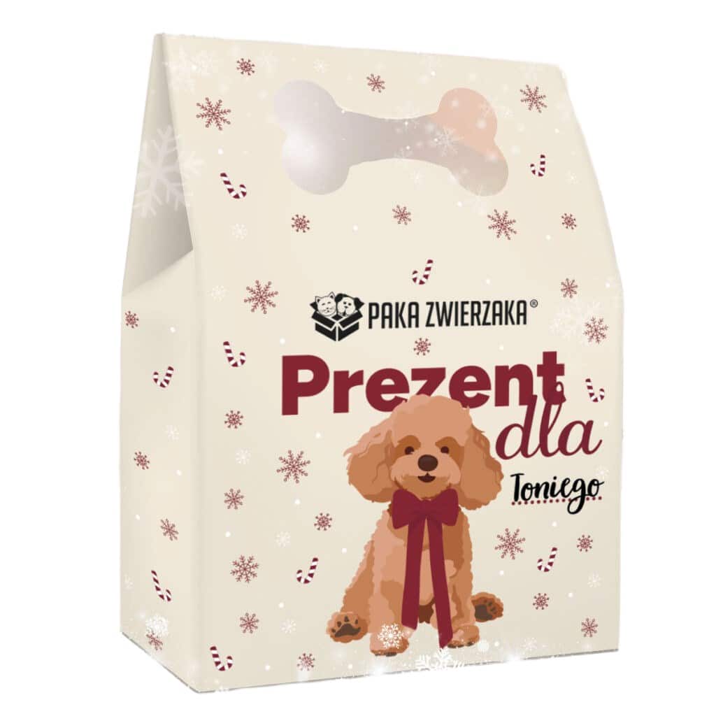 Paka Zwierzaka Box Świąteczny 2025 — zdjęcie 1 z 2