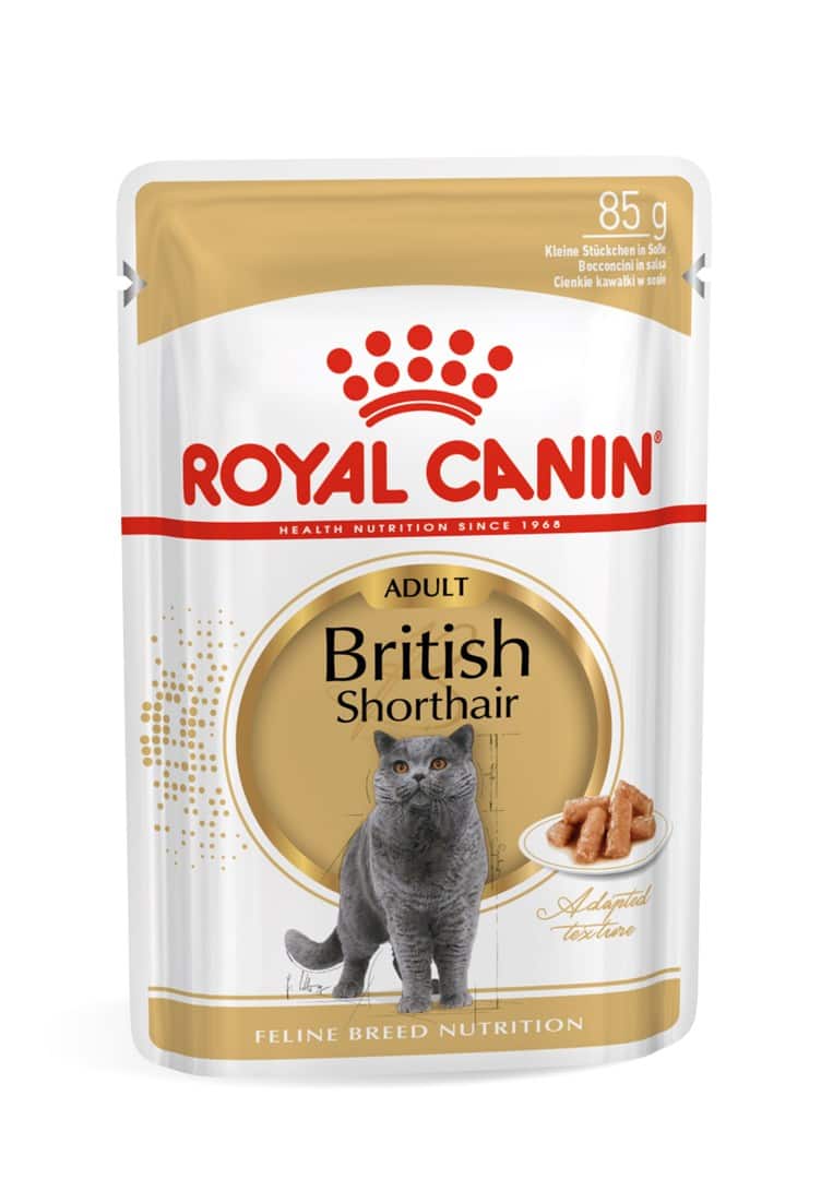ROYAL CANIN FBN British Shorthair Adult - mokra karma dla dorosłego kota - 12x85g — zdjęcie 1 z 8