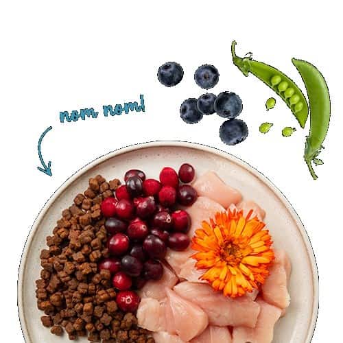 BOSCH Sanabelle Kitten Kurczak 2kg — zdjęcie 1 z 2