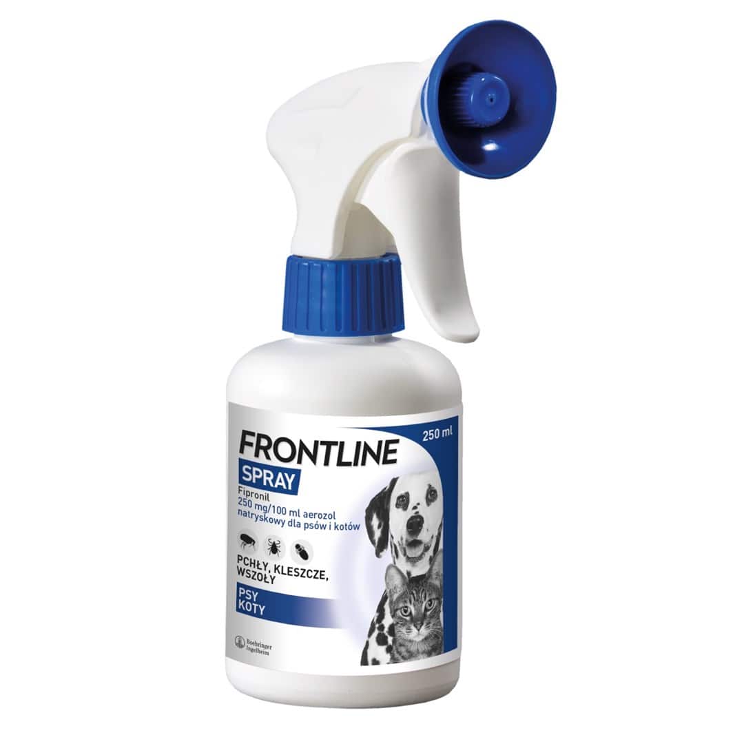 Frontline Spray na pchły i kleszcze - dla psa i kota - 250 ml — zdjęcie 1 z 4