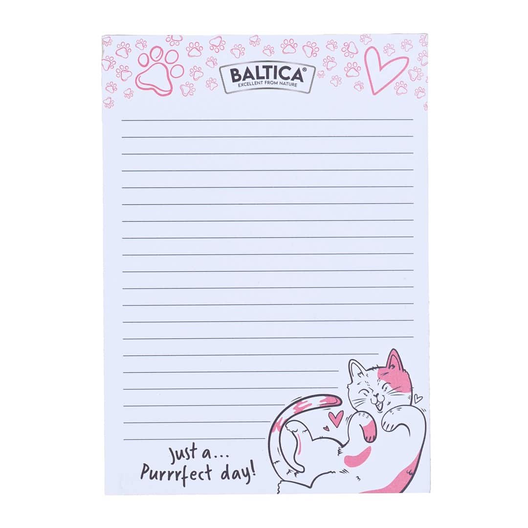 BALTICA Notes — zdjęcie 1 z 2