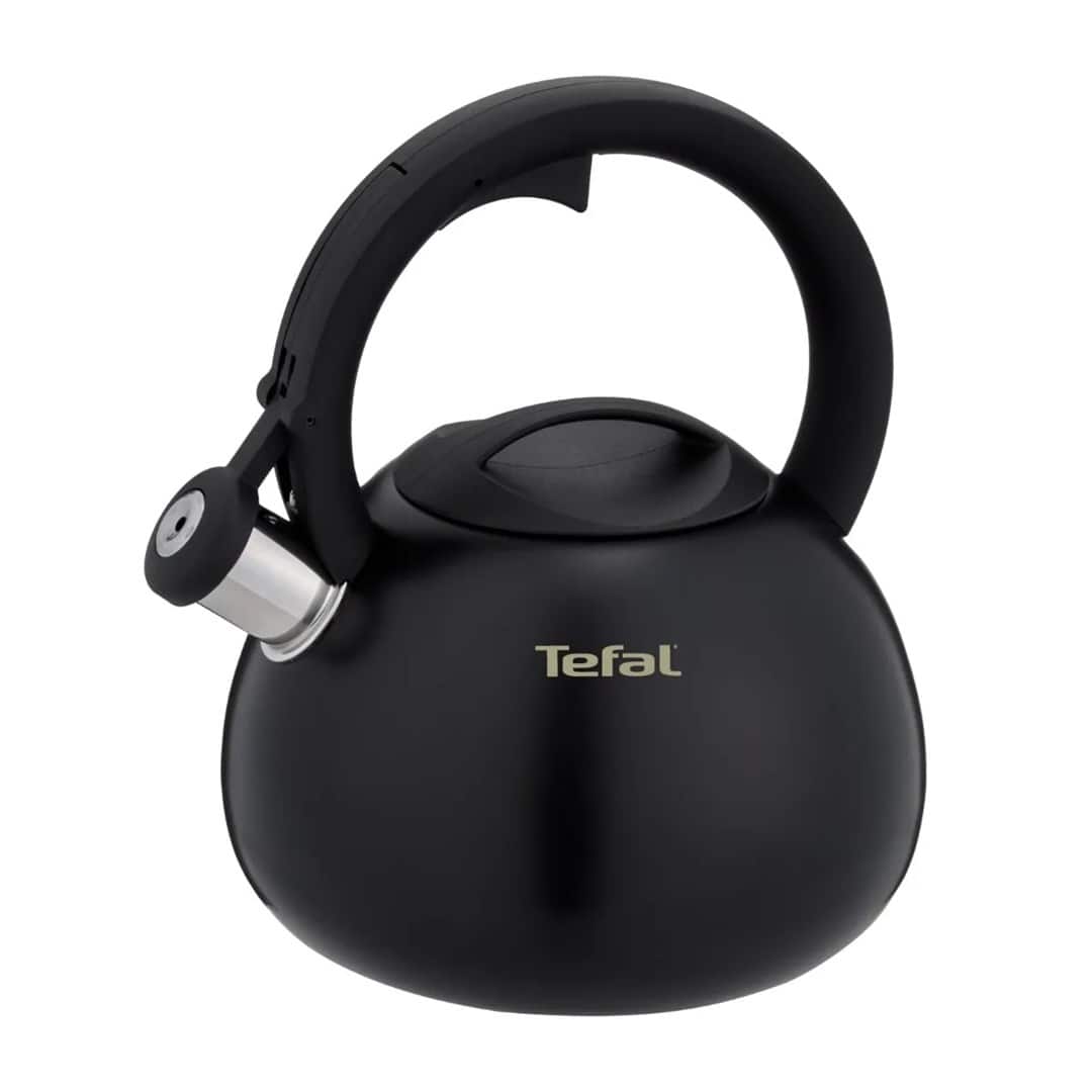 Czajnik nieelektryczny TEFAL N4180410 — zdjęcie 1 z 3
