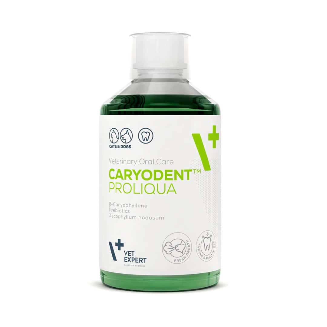 VetExpert Caryodent Proliqua 250ml dla dorosłych