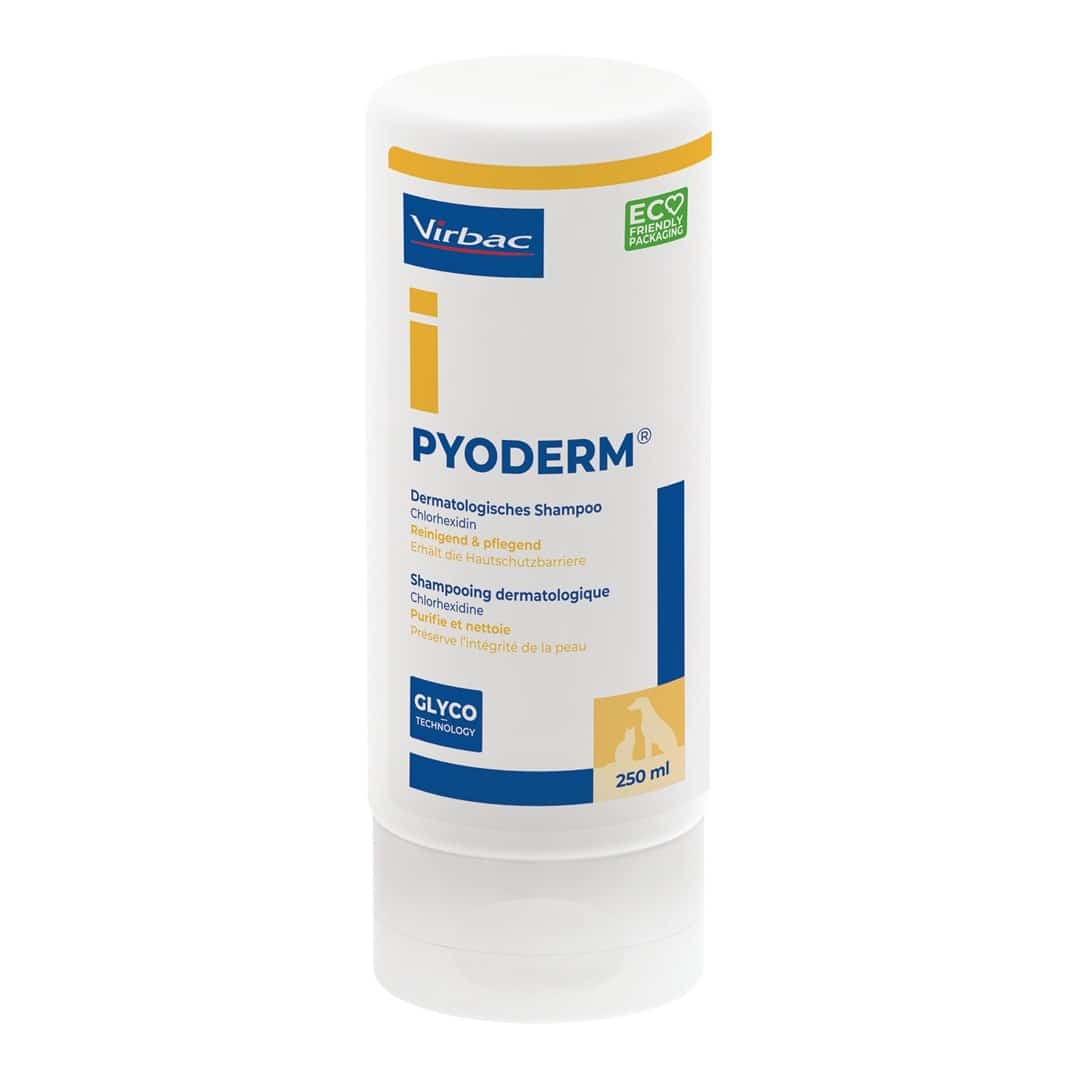 VIRBAC PYODERM szampon 250ml dla psa i kota