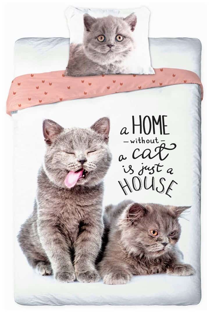 Pościel młodzieżowa 015 BEST FRIENDS KOTY komplet 140x200cm + poduszka 70x90cm