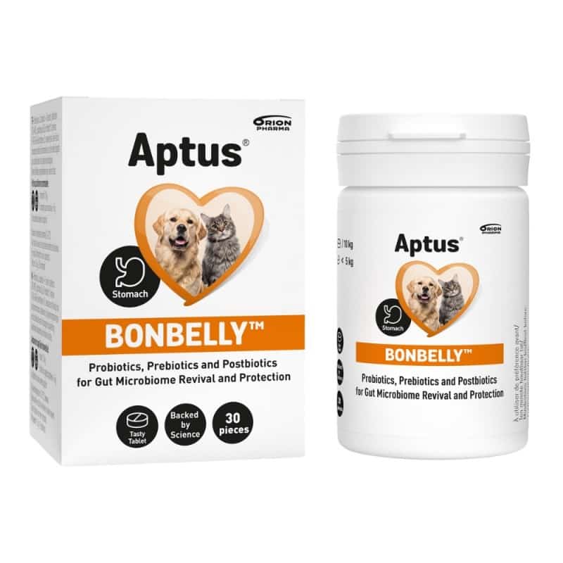 APTUS Bonbelly 30szt - Przewlekła biegunka
