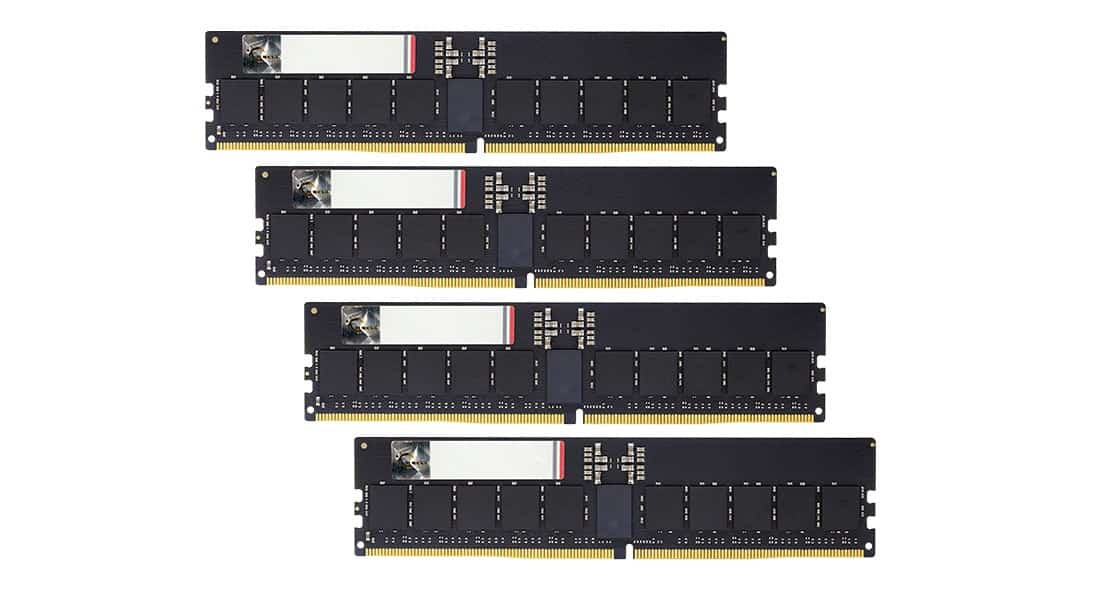 G.SKILL ZETA G5 NEO AMD DDR5 ECC-R 4X32GB 6400MHZ CL32 F5-6400R3239G32GQ4-G5N