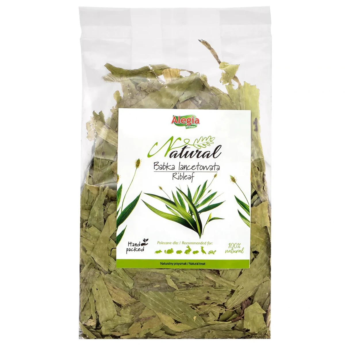 ALEGIA Babka Lancetowata 100g - Bezglutenowa