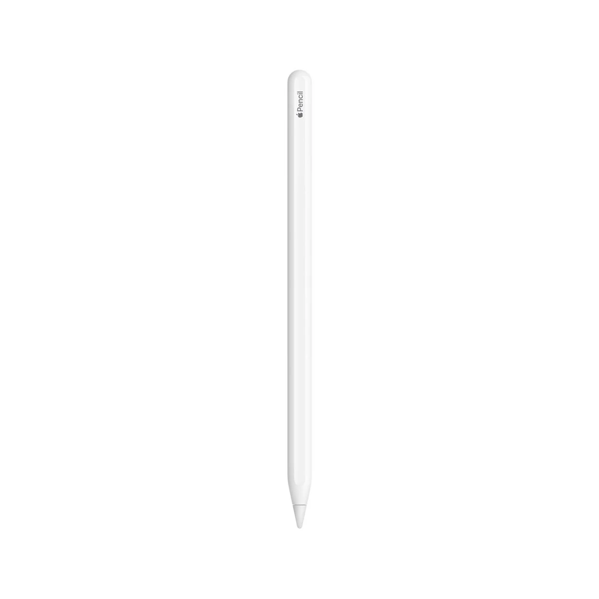 Apple Pencil (2. gen.) - Rysiki
