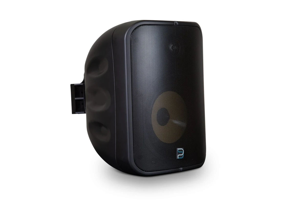 BLUESOUND PROFESSIONAL GŁOŚNIK BSP1000B - Sieciowy