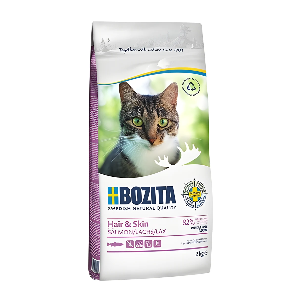 BOZITA Hair & Skin Wheat free Salmon - sucha karma dla kotów z problemami ze skórą i sierścią - 2kg