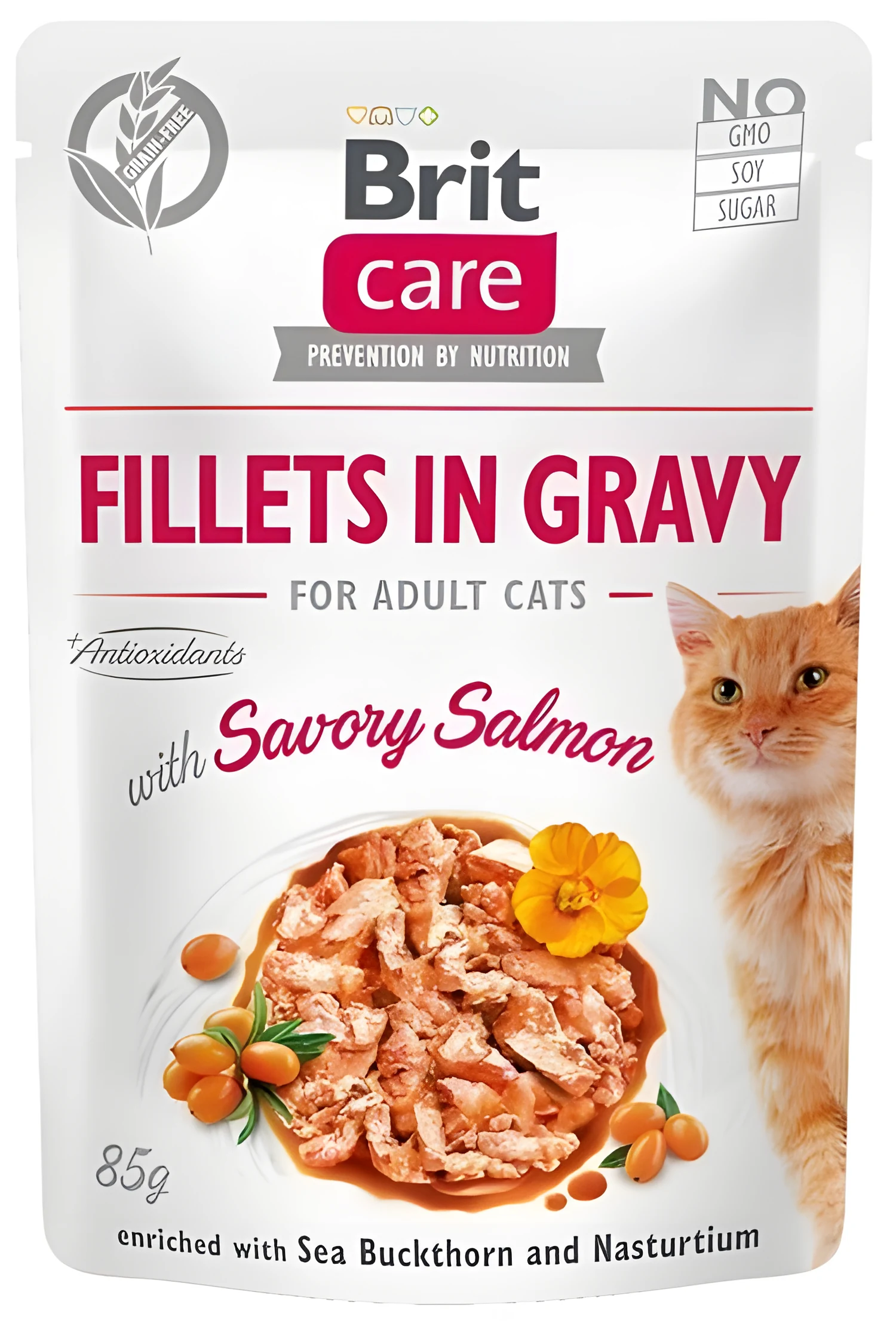 BRIT Care Fillets in Gravy - 85 g