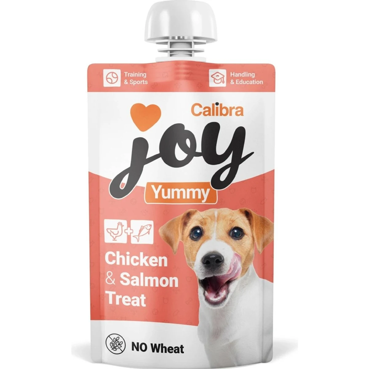 Calibra joy dog yummy chicken & salmon treat 100g