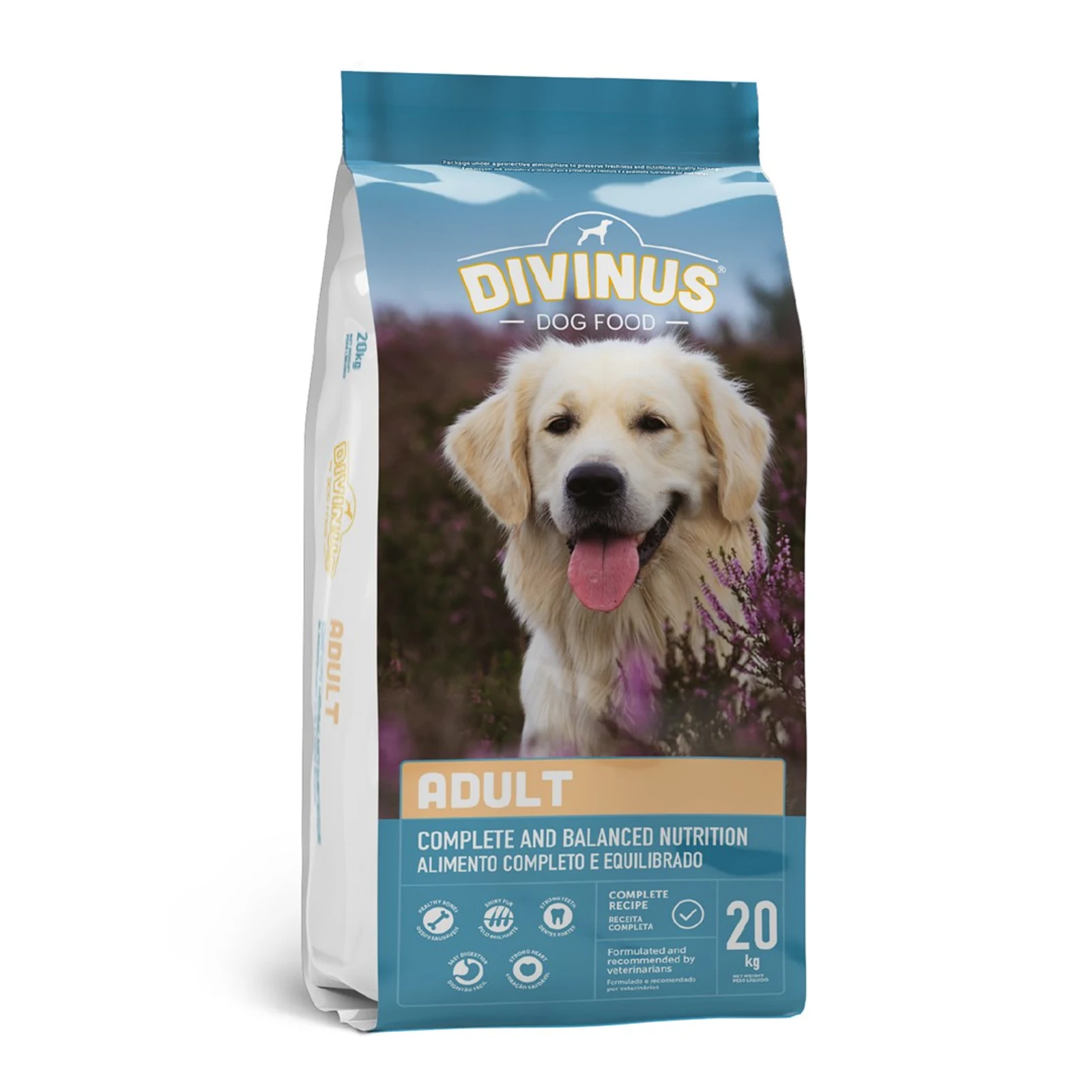 Divinus Adult - Sucha Karma dla Dorosłych Psów 20kg