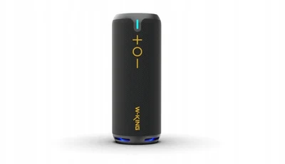Głośnik bezprzewodowy Bluetooth W-KING D320 czarny